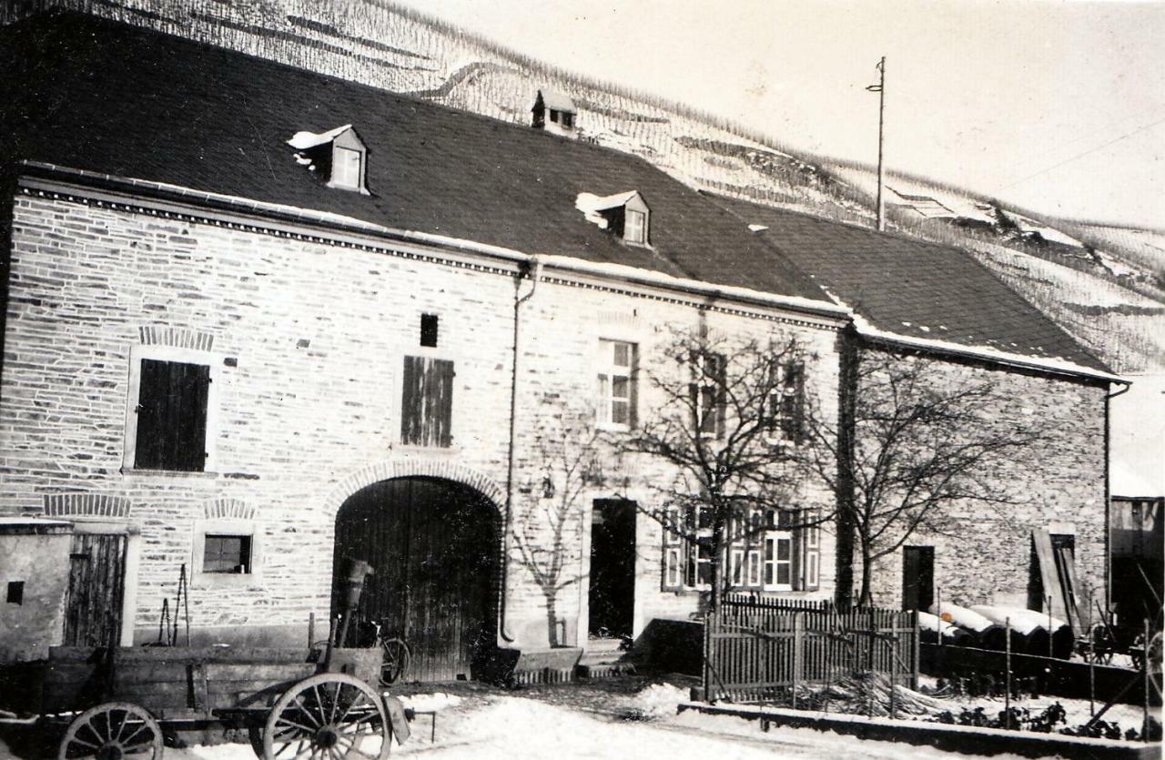 Altes Loerscher Winzerhaus Mehring  Exterior foto